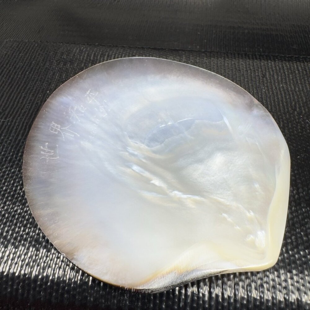 1999 Natural Abalone Shell Iridescent Smooth Etched Mother Of Pearl World Peace